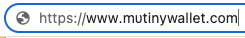 Domain Spoofing Mutiny, a Web-Based Bitcoin Wallet