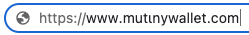 Domain Spoofing Mutiny, a Web-Based Bitcoin Wallet