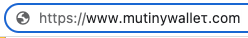 Domain Spoofing Mutiny, a Web-Based Bitcoin Wallet