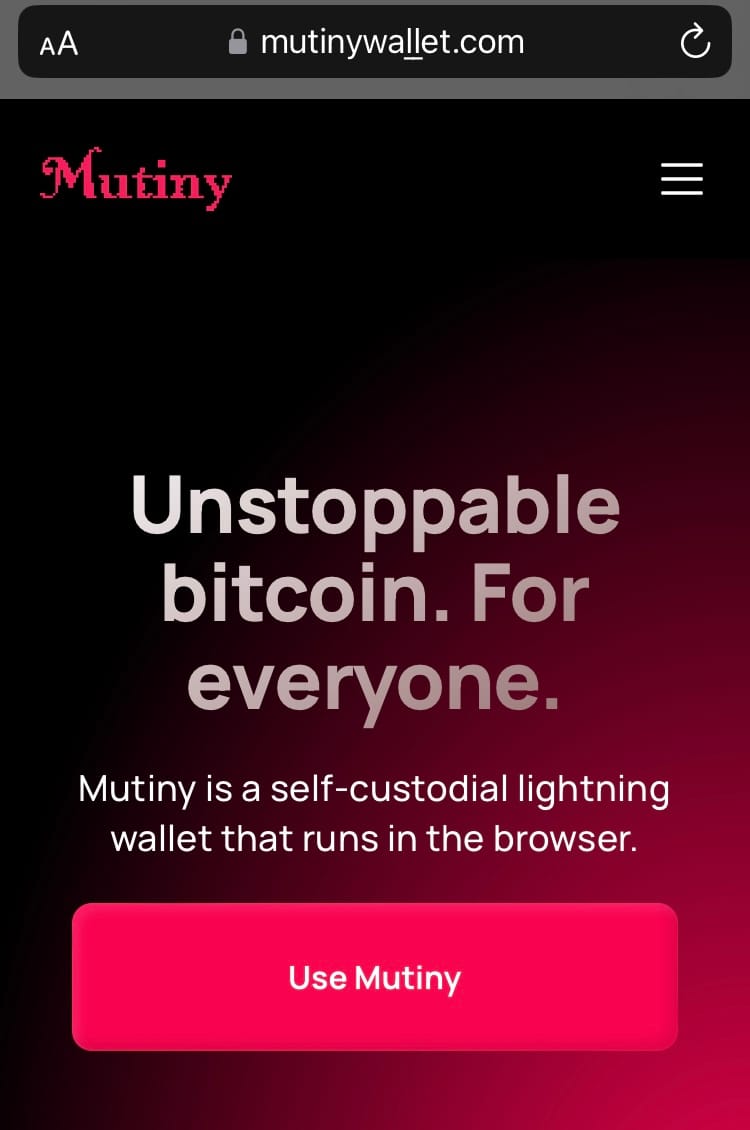 Domain Spoofing Mutiny, a Web-Based Bitcoin Wallet