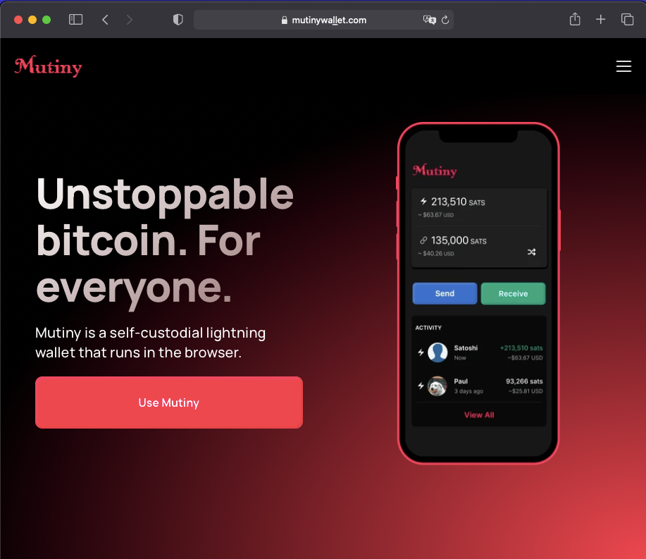 Domain Spoofing Mutiny, a Web-Based Bitcoin Wallet