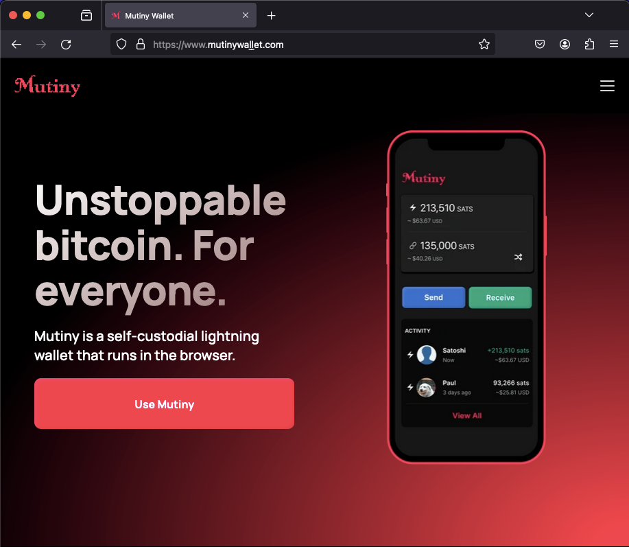 Domain Spoofing Mutiny, a Web-Based Bitcoin Wallet