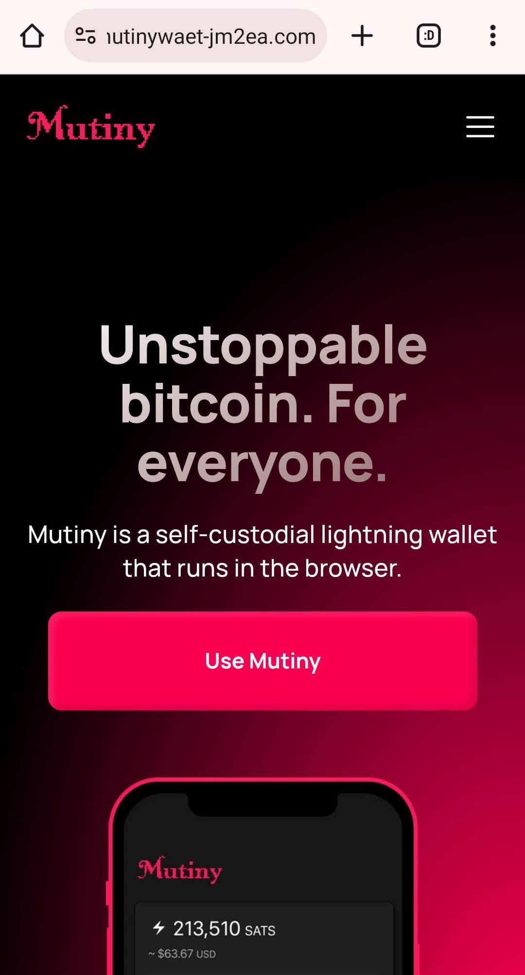 Domain Spoofing Mutiny, a Web-Based Bitcoin Wallet