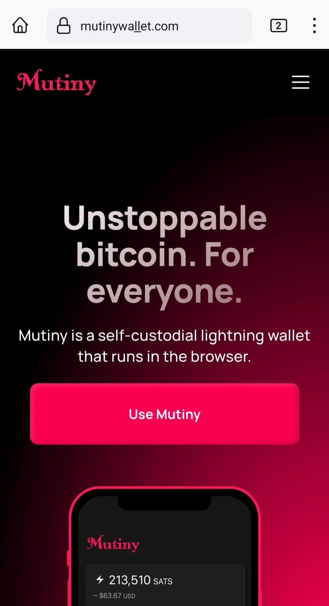 Domain Spoofing Mutiny, a Web-Based Bitcoin Wallet